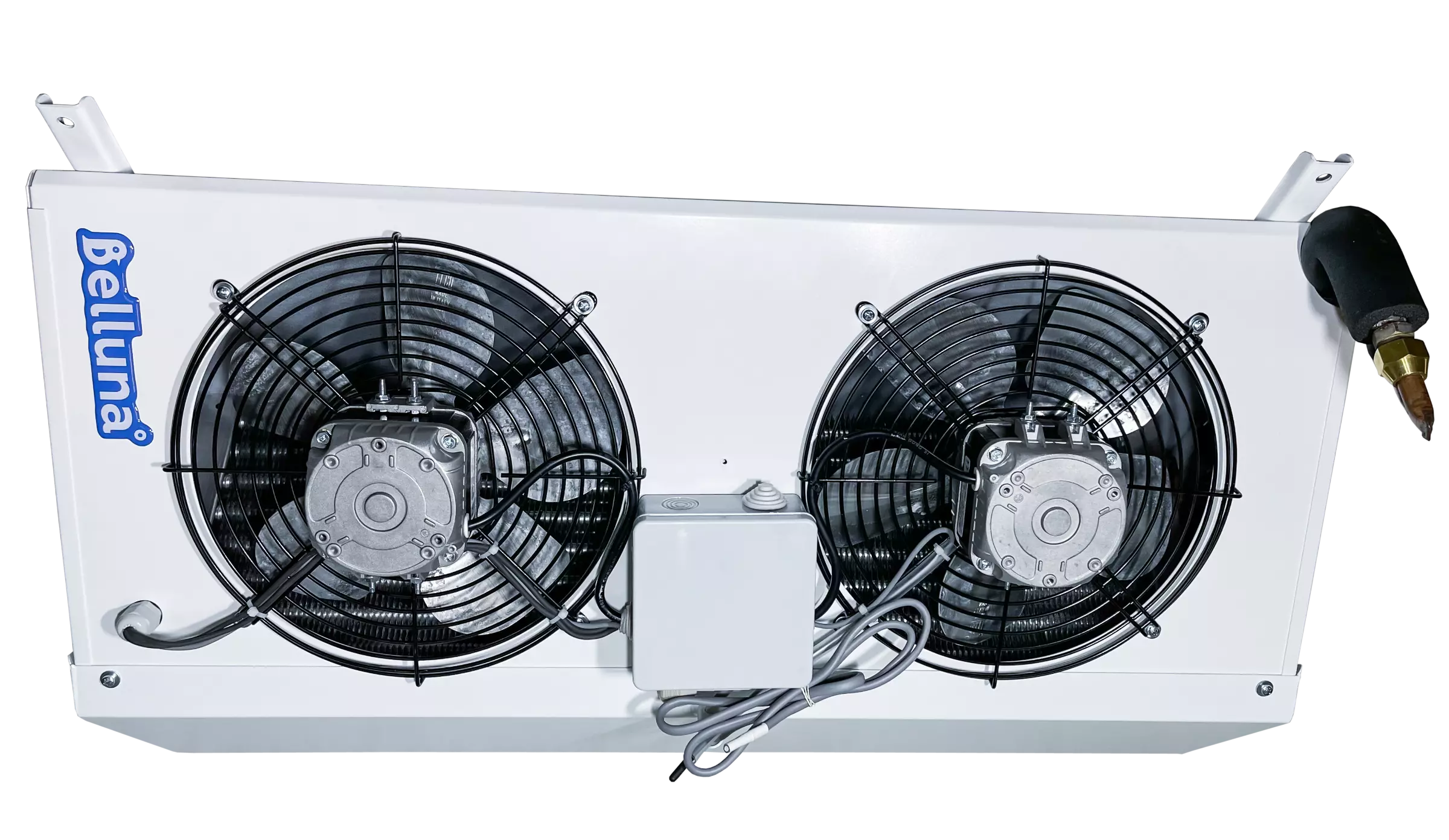 Belluna U101